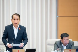 Kỳ họp Quốc hội tới sẽ bàn sâu về vũ khí thô sơ