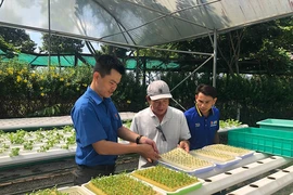 Kỹ sư trẻ mang công nghệ cao làm lợi cho nông dân 