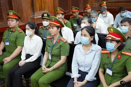 Hiện thực hóa Nghị quyết 66: Thiết lập các cơ chế bảo vệ sự liêm chính trong thi hành pháp luật