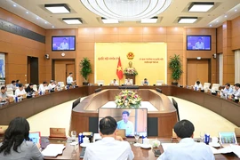Có vụ phá sản kéo dài 16 năm vẫn chưa giải quyết xong