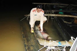 Một người nhảy xuống sông khi thấy cảnh sát