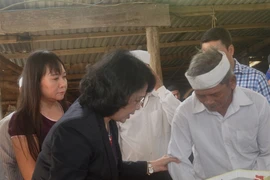 Phó chủ tịch nước thăm, tặng quà đồng bào vùng lũ