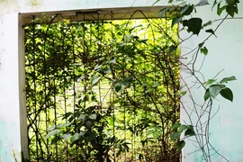 Hoang tàn khu tái định cư 11 tỉ đồng