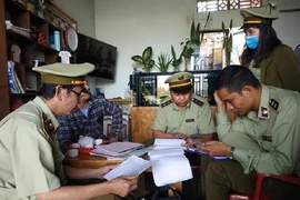 Buộc tạm dừng kinh doanh 2 cây xăng không phép