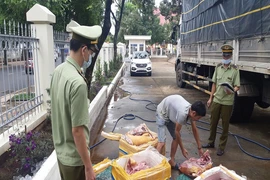 CSGT chặn xe tải chở thịt thối từ Quảng Nam lên Đắk Lắk 