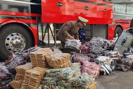 Hơn 2000 chiếc váy không rõ nguồn gốc trên xe khách