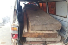 Chủ tịch xã bắt gỗ lậu xong ‘biếu’ cho lãnh đạo huyện 