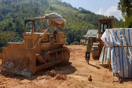 Đề nghị chuyển hồ sơ vụ phá rừng làm đường đến cơ quan điều tra