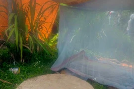Đi bắt ốc ngày lễ, 3 học sinh chết đuối thương tâm