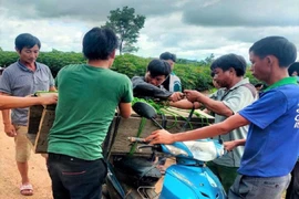 Đang xác minh thông tin 'nhà nghèo, cháu bé tử vong không có đất chôn'