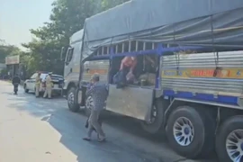 Lập biên bản tài xế ô tô tải chở 7 người trong thùng xe