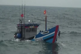 Chìm tàu câu mực, 2 ngư dân Bình Định mất tích