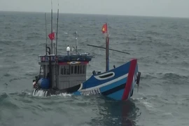 1 thuyền viên mất tích khi tàu câu mực đang trên đường vào bờ