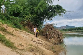 Bình Định lập đề án đánh giá tổng thể tình hình sạt lở bờ sông Hà Thanh