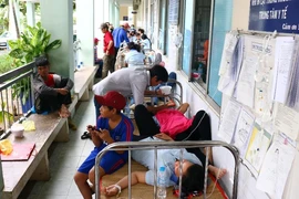 Hàng loạt công nhân đi cấp cứu vì hít phải thuốc diệt mọt
