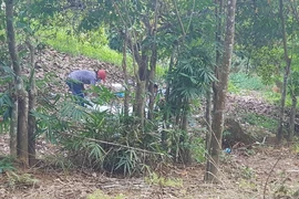 Vụ bộ xương không đầu ở Bình Phước: Xác định được danh tính