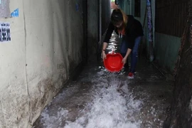 Bình Dương: 40 ha hoa màu và lúa ngập sâu sau trận mưa lớn