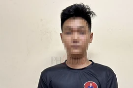 Nam thanh niên cướp giật điện thoại bị công an bắt giữ