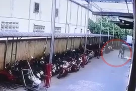 Va chạm khi lái xe nâng trong công ty, một công nhân bị sát hại
