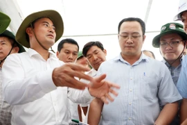 Phó Chủ tịch UBND TP.HCM Bùi Xuân Cường: Đẩy nhanh tiến độ Vành đai 3, ưu tiên metro số 1