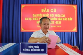 TP.HCM: Phường Phú An thử nghiệm vận hành quy trình bầu cử