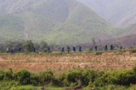 Đà Nẵng: Người nghiện tăng đáng báo động