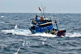 Đà Nẵng: Một ngư dân mất tích trên biển