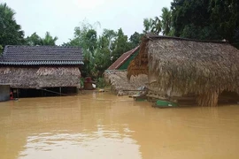 Lũ tiếp tục đe dọa Quảng Bình
