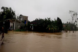 Quảng Nam: Hơn 15.300 ngôi nhà ngập trong lũ