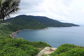 Dừng tham quan bán đảo Sơn Trà từ ngày 2-11
