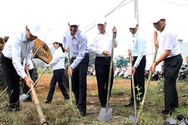Lãnh đạo Đà Nẵng làm vệ sinh môi trường hưởng ứng APEC