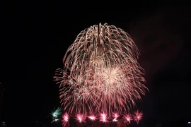 Đà Nẵng tưng bừng chào mừng năm mới 2018