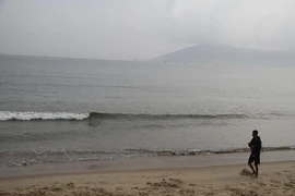 Chưa thể khẳng định biển Đà Nẵng ô nhiễm