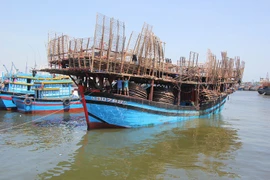 Cứu 49 người gặp nạn trên vùng biển Hoàng Sa