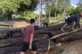 Công an truy đuổi thuyền chở gỗ trên sông Thu Bồn