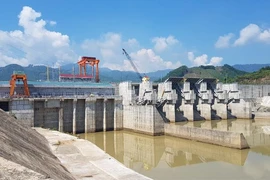 Thủy điện Sông Tranh 3 xả nước, người chăn bò bị cuốn trôi