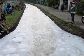 Người dân súc thùng phuy, cá chết trắng kênh