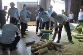 Hơn 9 tấn ngà voi lại bị tuồn về Cảng Tiên Sa, Đà Nẵng 