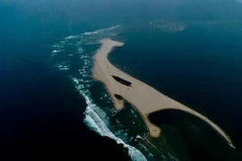 Cấm đưa người lên đảo khủng long ở Hội An