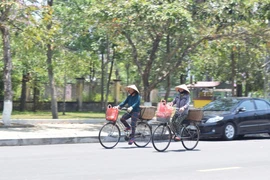 Quảng Nam: Nắng nóng, cuộc sống đảo lộn