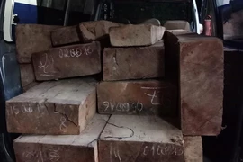 CSGT truy đuổi xe chở gỗ lậu như phim hành động