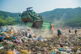 Đà Nẵng: Rác chất đống trong phố vì bất cập đủ đường