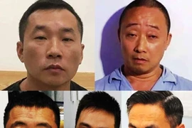 Đà Nẵng: Người nước ngoài và các tỉnh gây án ngày càng nhiều