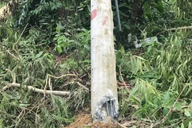 Điện lực Miền Trung nói về các cột điện bị gãy ở Huế