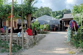 Quảng Bình: Thêm 1 người tử vong vì bệnh dại sau 3 tháng bị chó cắn