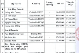 Mức lương của lãnh đạo Công ty cấp thoát nước Quảng Ngãi