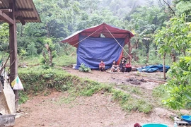 Hàng trăm người truy lùng nghi phạm sát hại người tình rồi bỏ trốn vào rừng