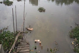 Phát hiện thi thể phụ nữ trên rạch Cái Khế
