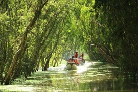 Du khách ngoại thích bắt cá, cưỡi xe bò... ở miền Tây 