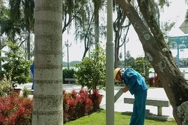 Cần Thơ sắp đón đợt triều cường rất cao